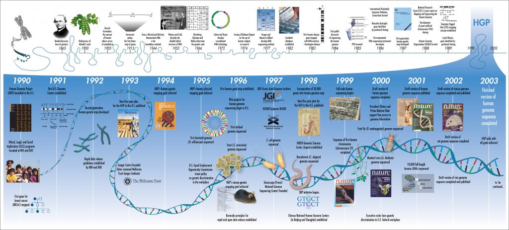 When did the Human Genome Project start?