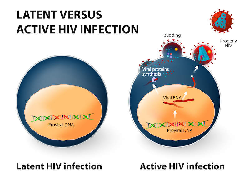 Figure. Latent versus active infections