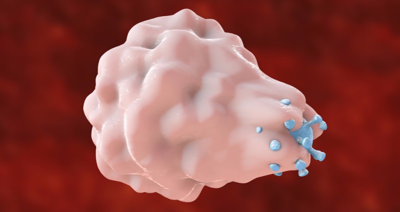 Masitinib is a tyrosine kinase inhibitor that targets mast cells and macrophages, immune cells that play a role in a wide range of conditions from oncology to inflammatory disease
