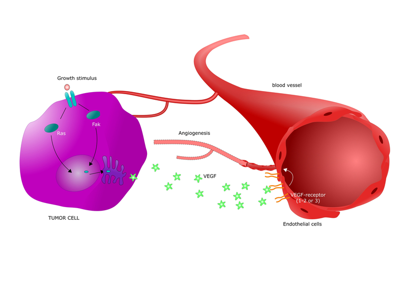 Cancer-Vaccine-VEGF