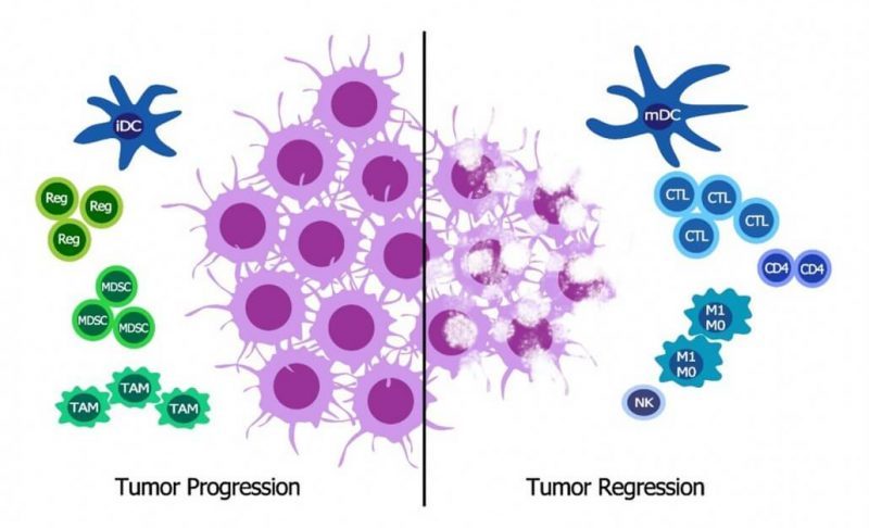 Immunotherapy-OSE-NSCLC