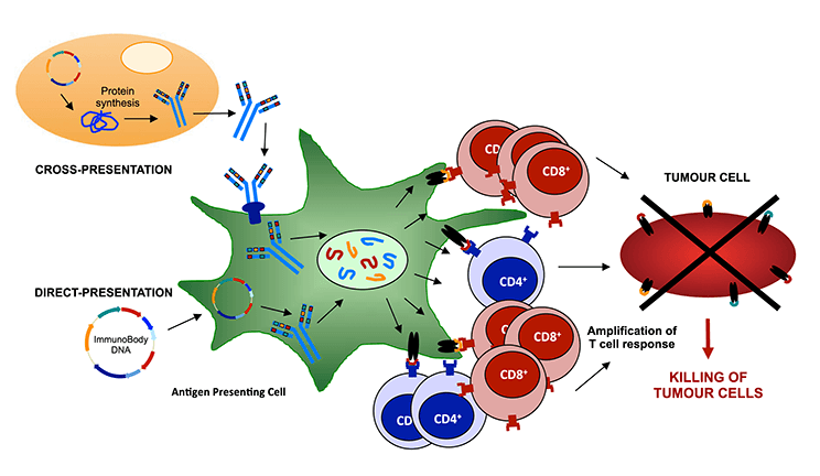 Scancell-Cancer Vaccines