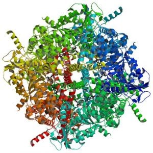 cryo-electron microscopy, evotec, nobel prize, structure-based drug design
